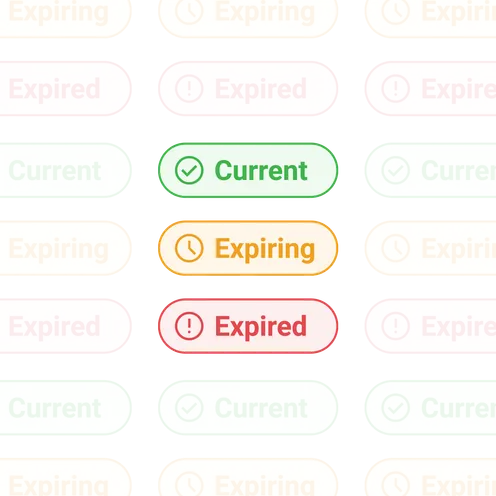 Qualification status badges: green Current, amber Expiring and red Expired